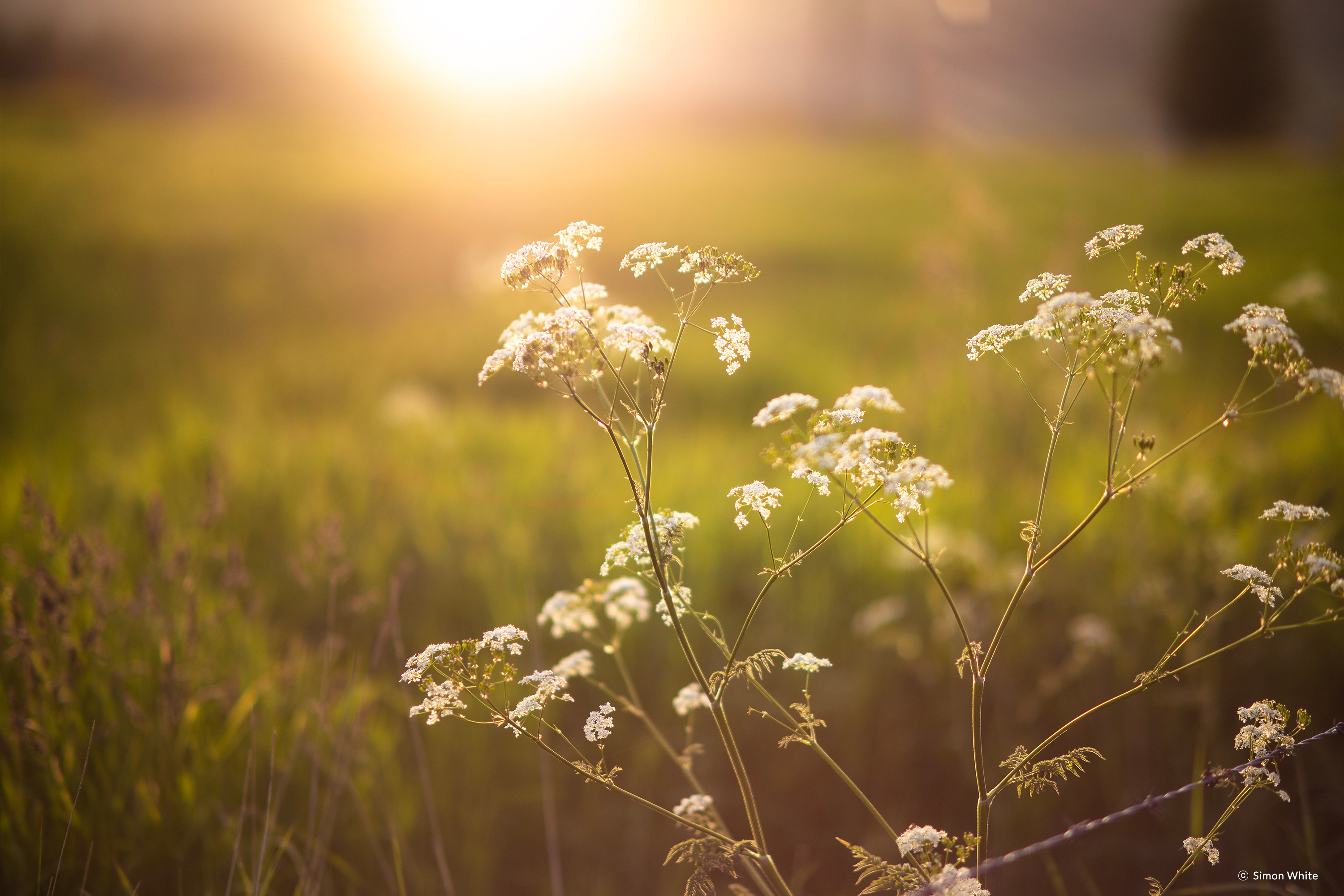 /upload/inspiration/gallery/1559785871.jpg