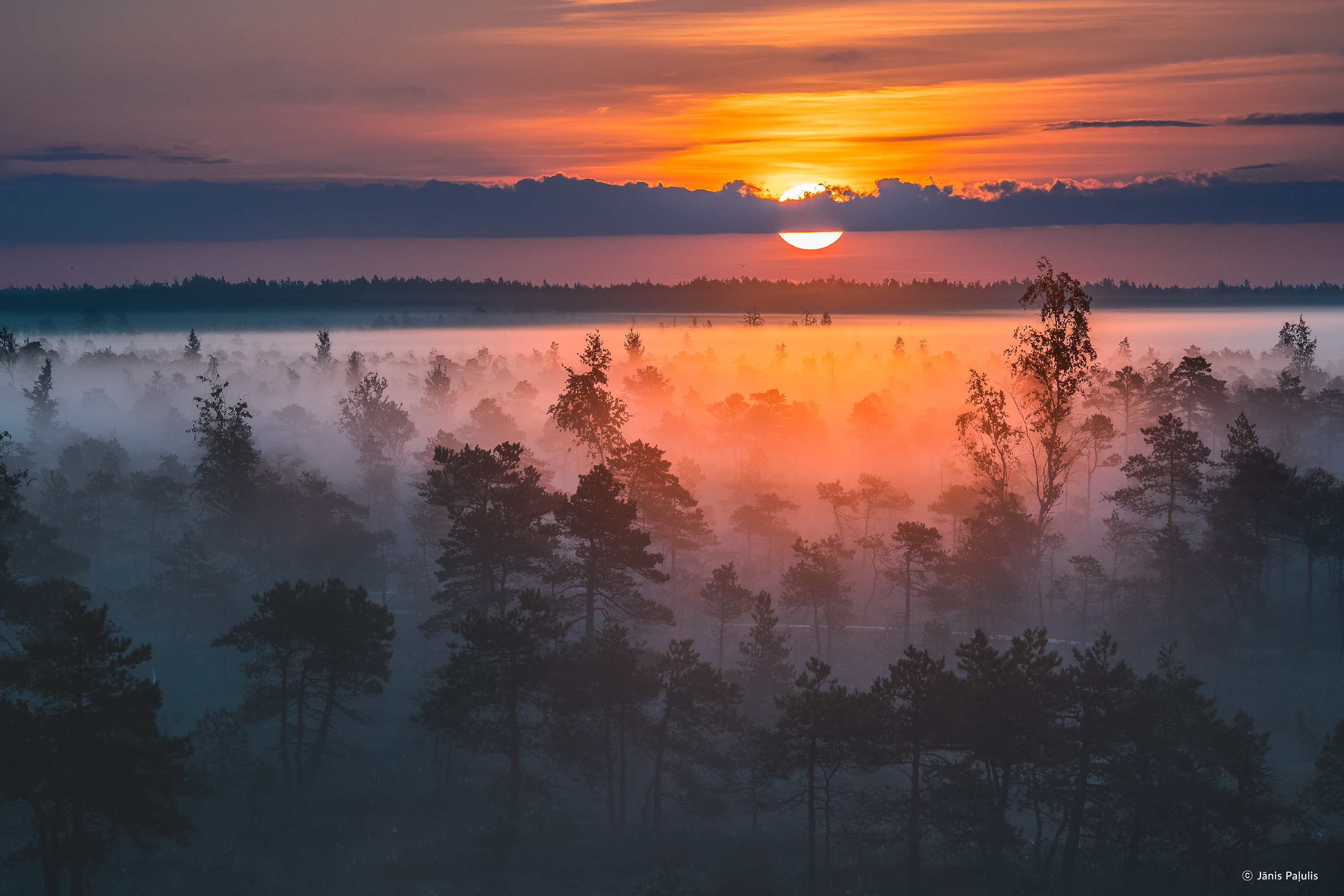 /upload/inspiration/gallery/1662893772.png