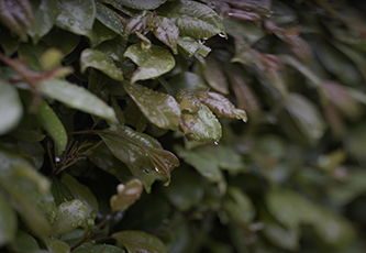 /upload/inspiration/gallery/1662948879.png