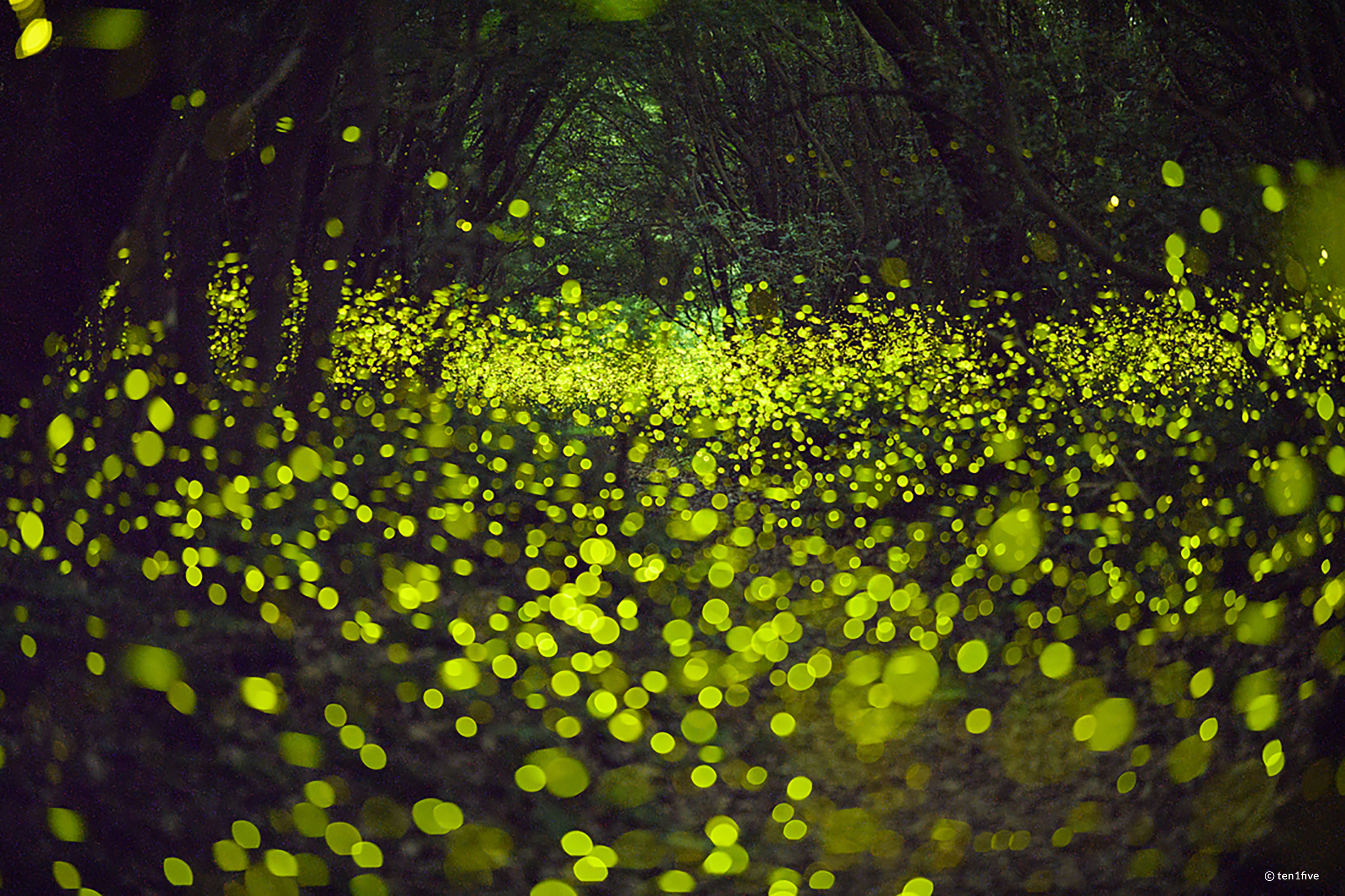 /upload/inspiration/gallery/1675391429.png