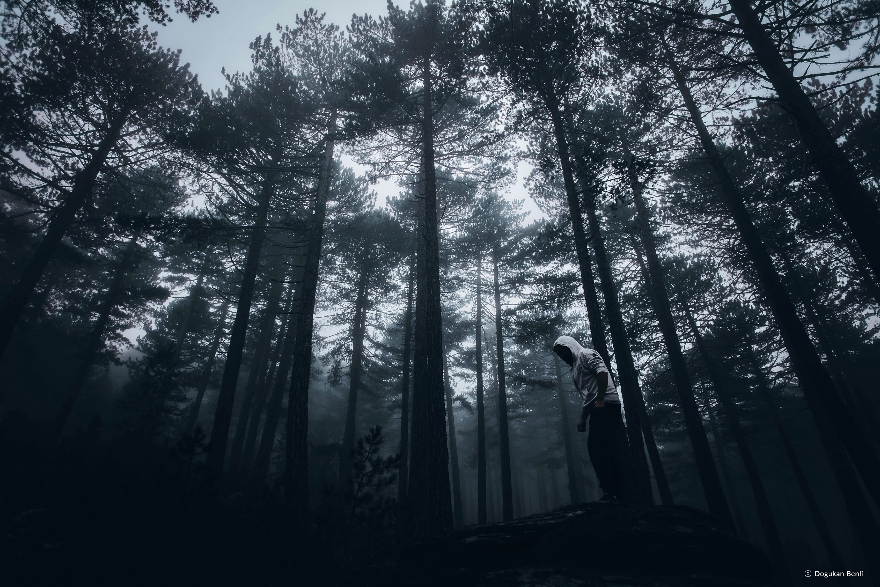 /upload/inspiration/gallery/1676023698.png
