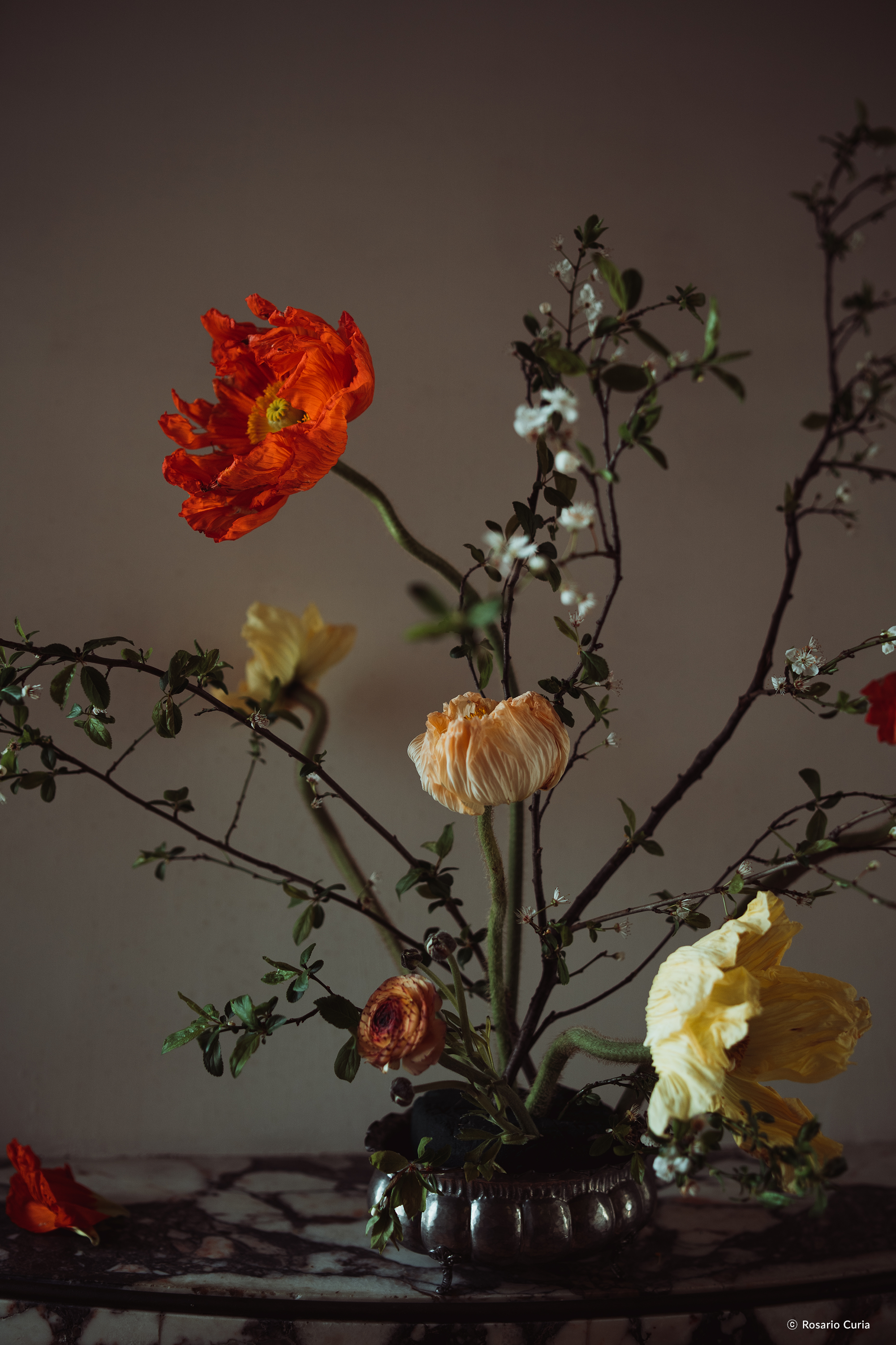 /upload/inspiration/gallery/1694485669.png