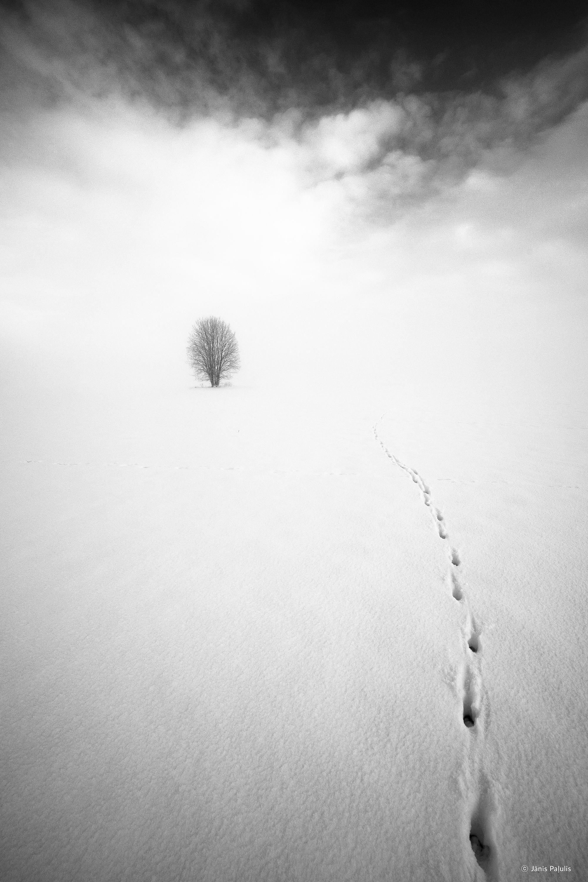 /upload/inspiration/gallery/1699768081.png