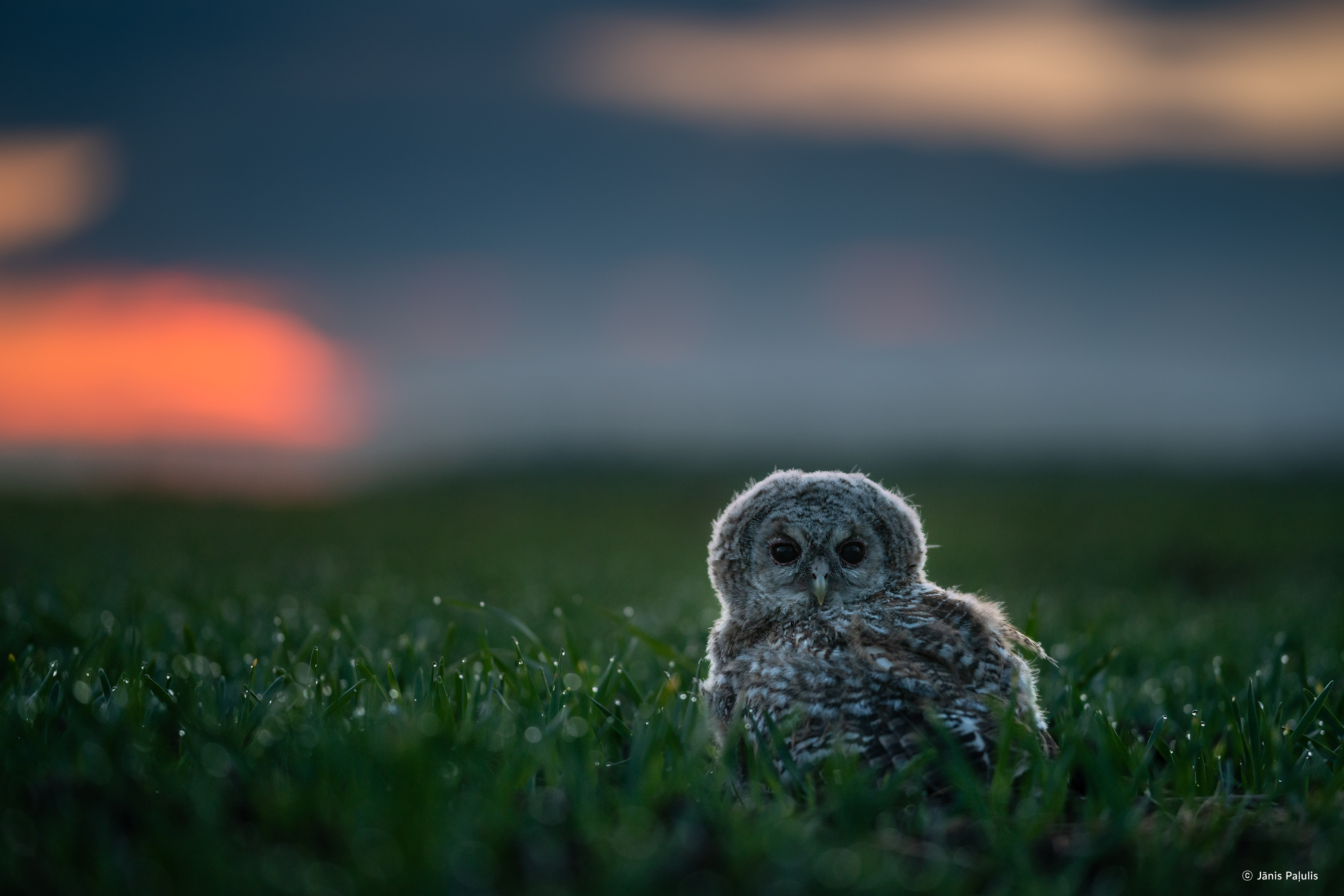 /upload/inspiration/gallery/1699768448.png