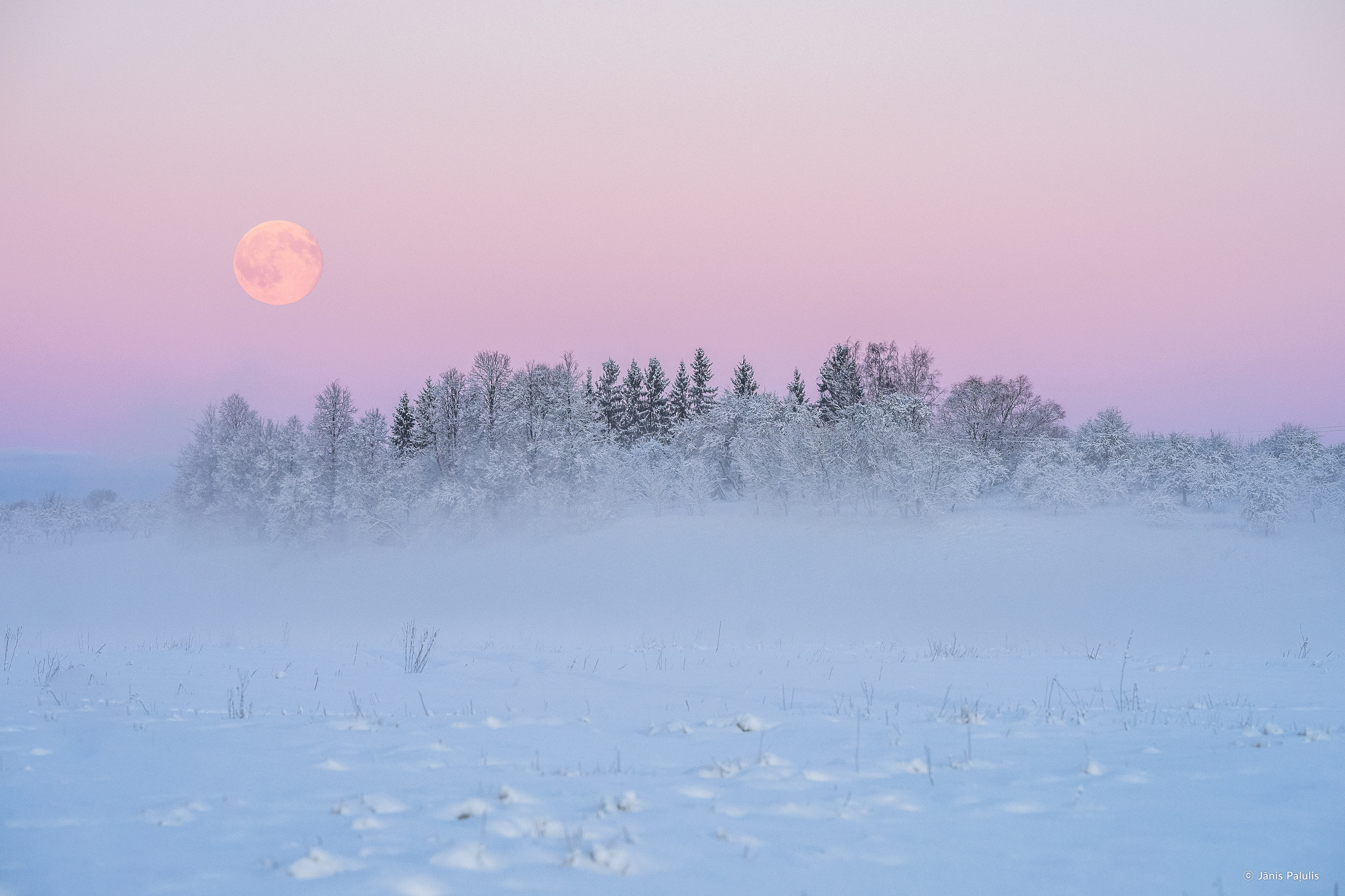 /upload/inspiration/gallery/1699768482.png