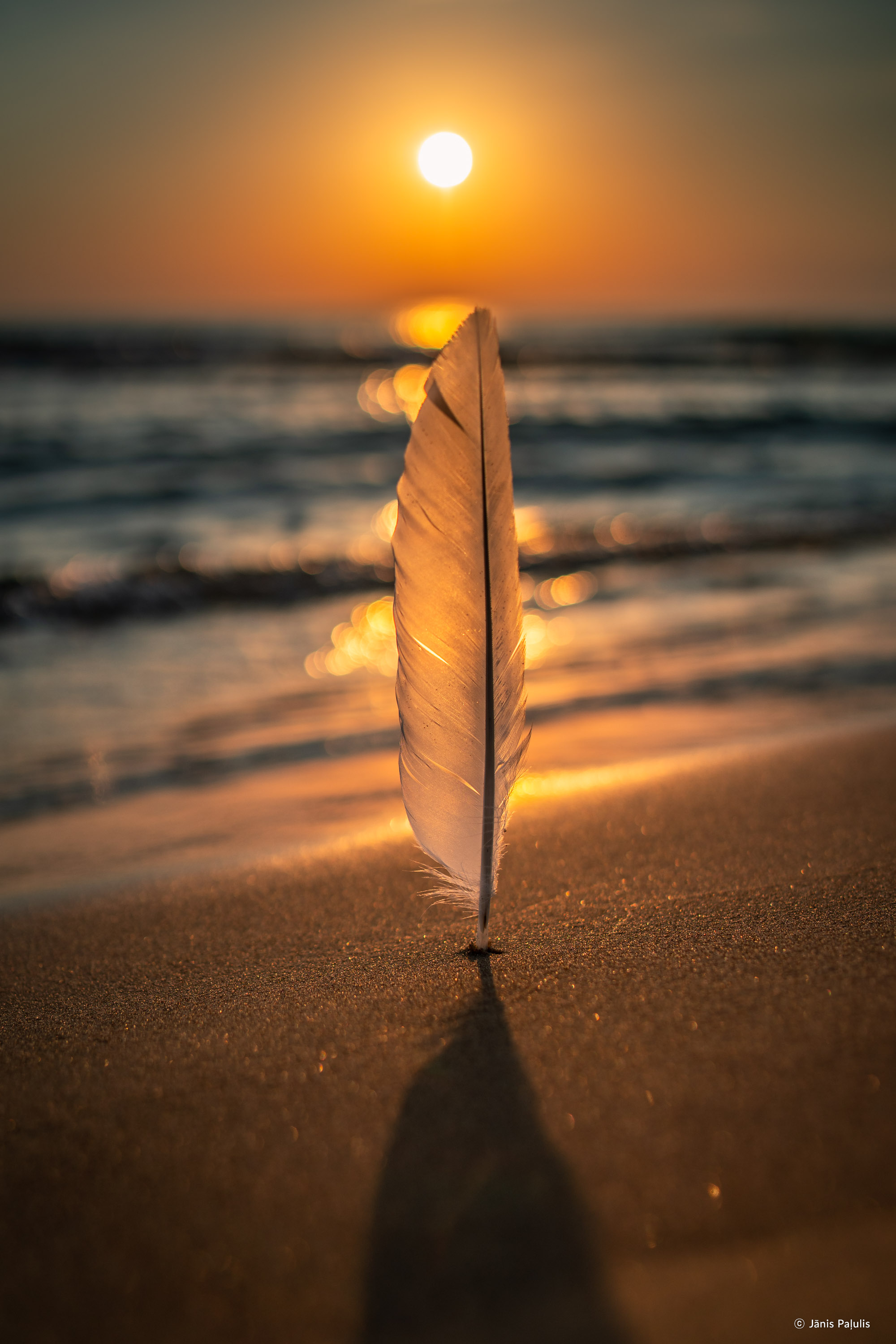 /upload/inspiration/gallery/1699768574.png