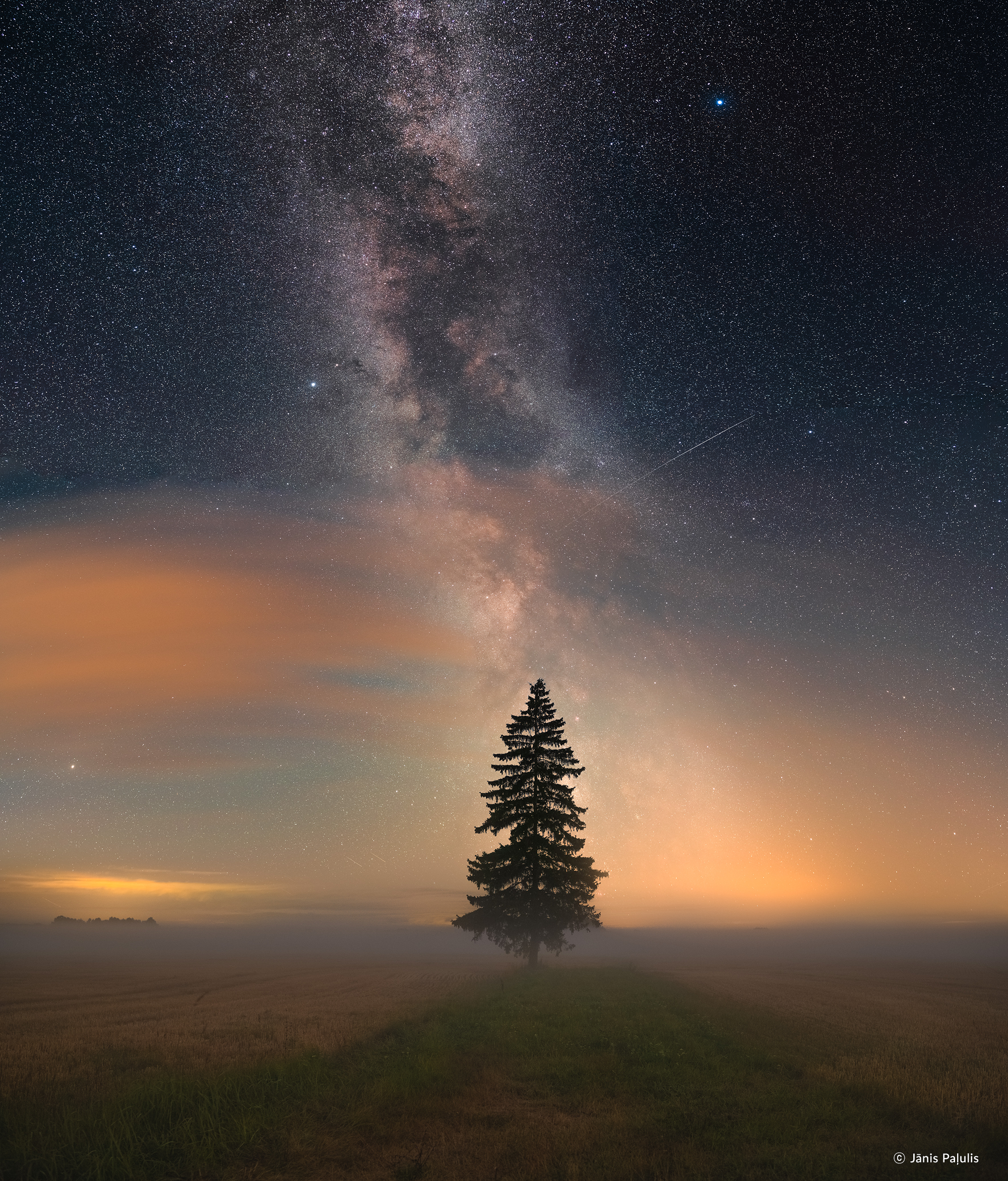/upload/inspiration/gallery/1699768625.png
