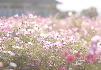 /upload/inspiration/gallery/1720586955.png