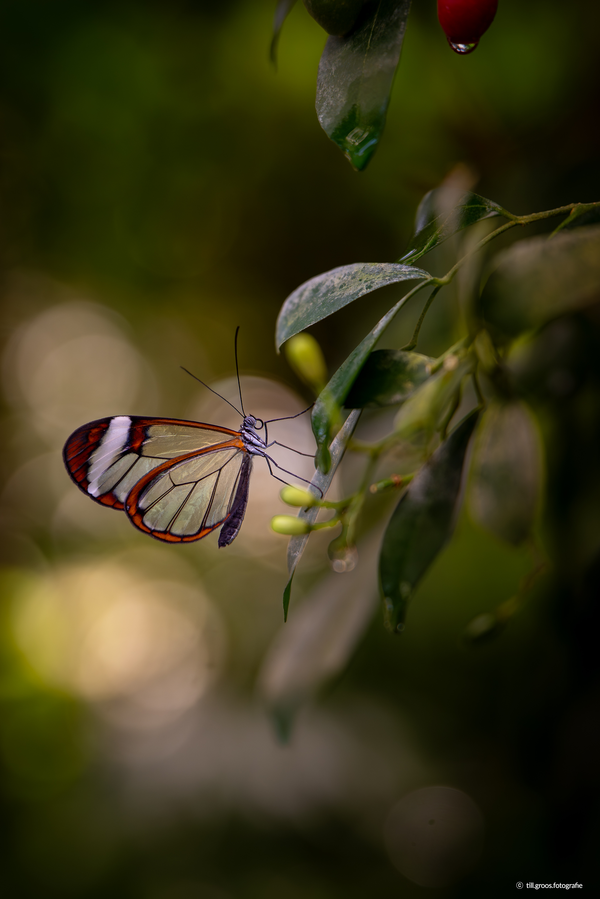 /upload/inspiration/gallery/1746766289.png