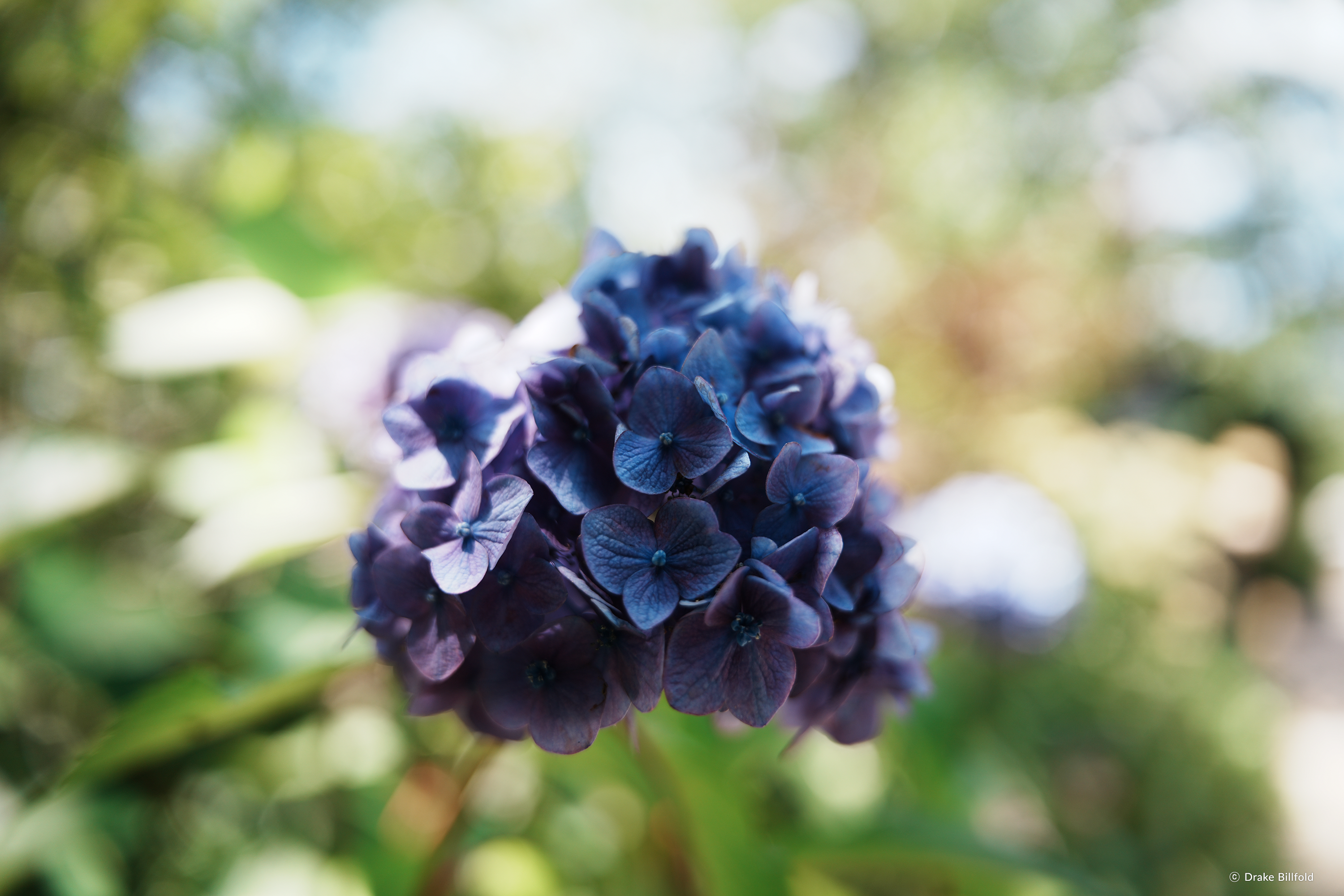 /upload/inspiration/gallery/1778391396.png