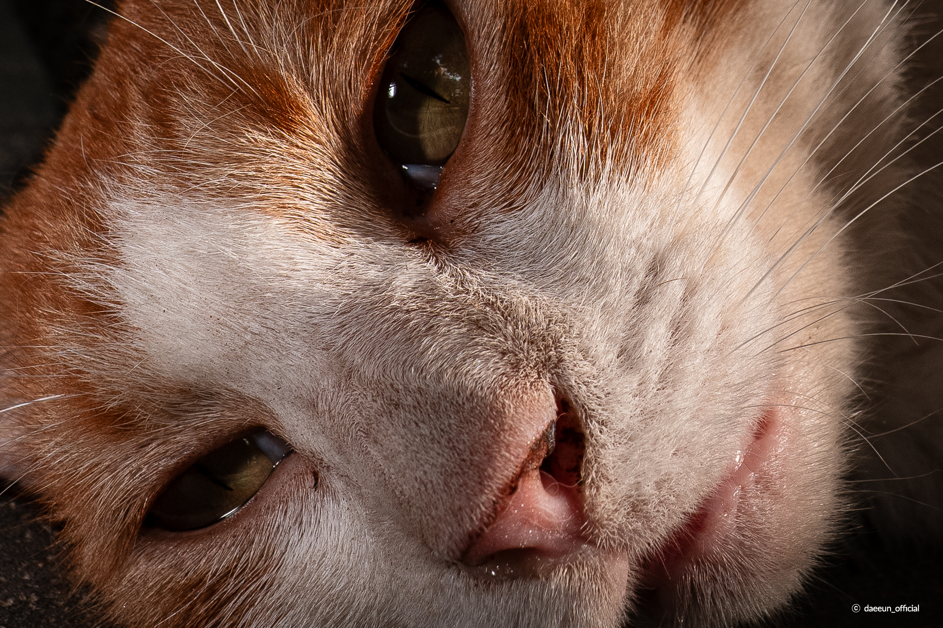 /upload/inspiration/gallery/1788762212.png