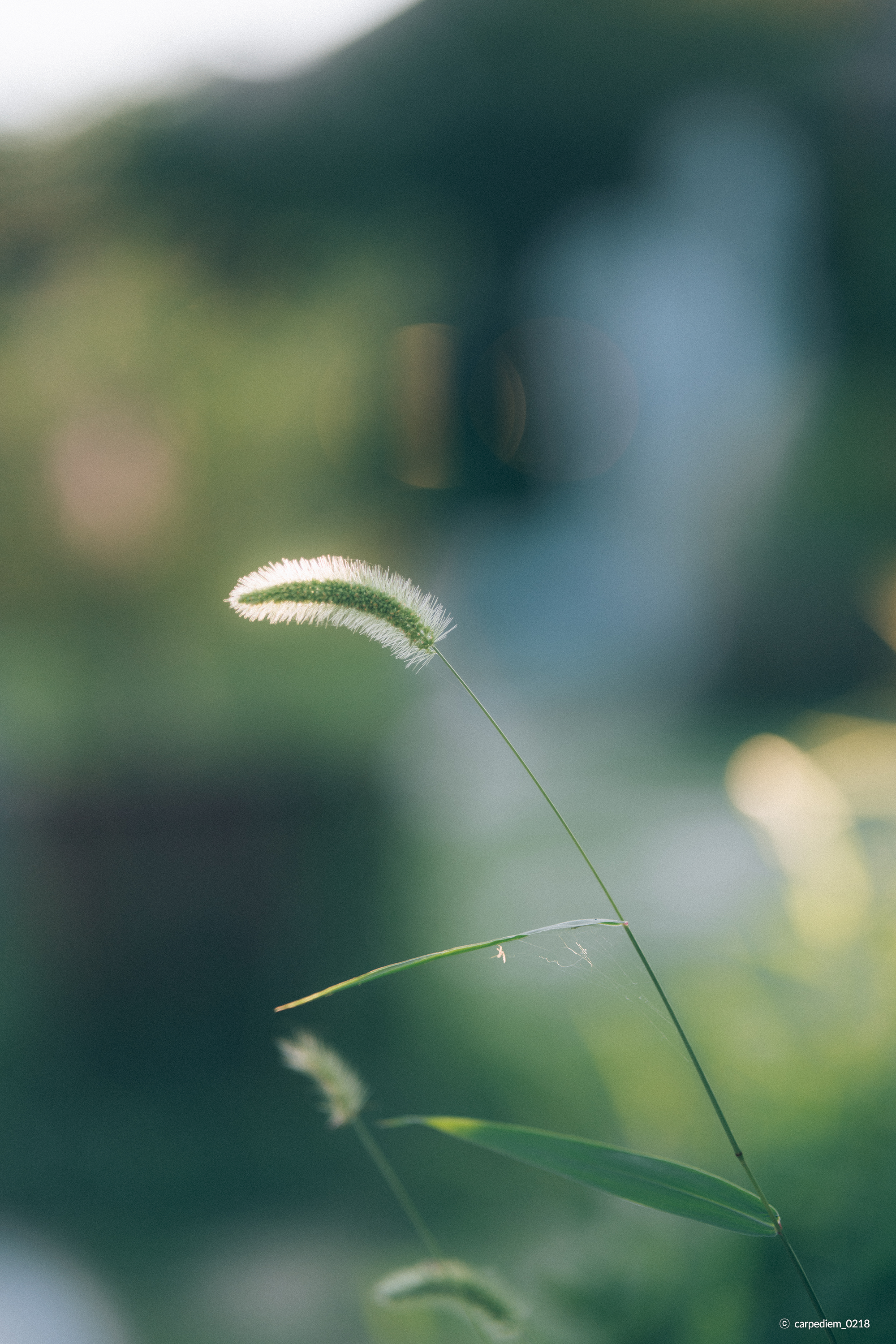 /upload/inspiration/gallery/1788764297.png