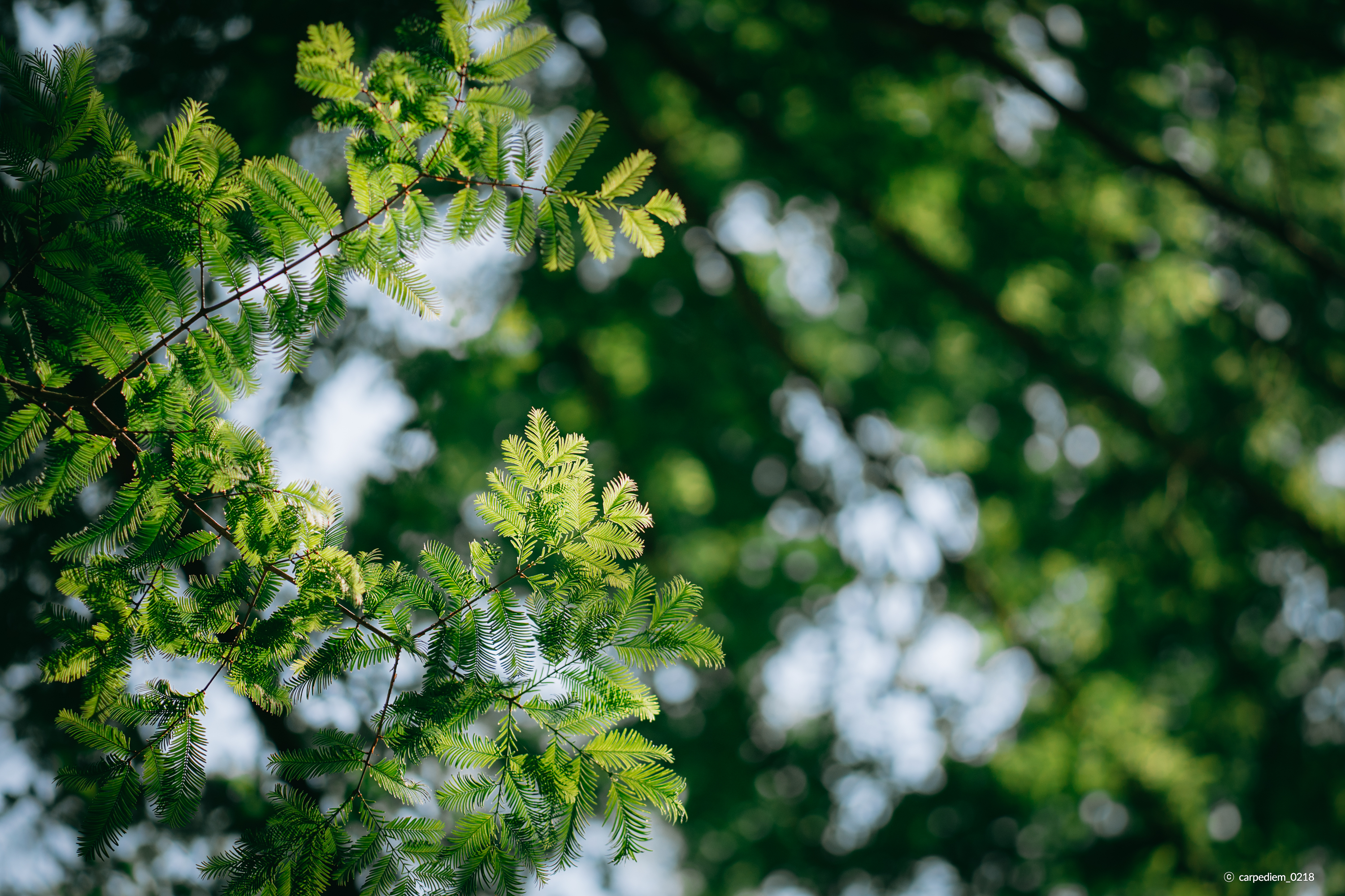/upload/inspiration/gallery/1788764501.png