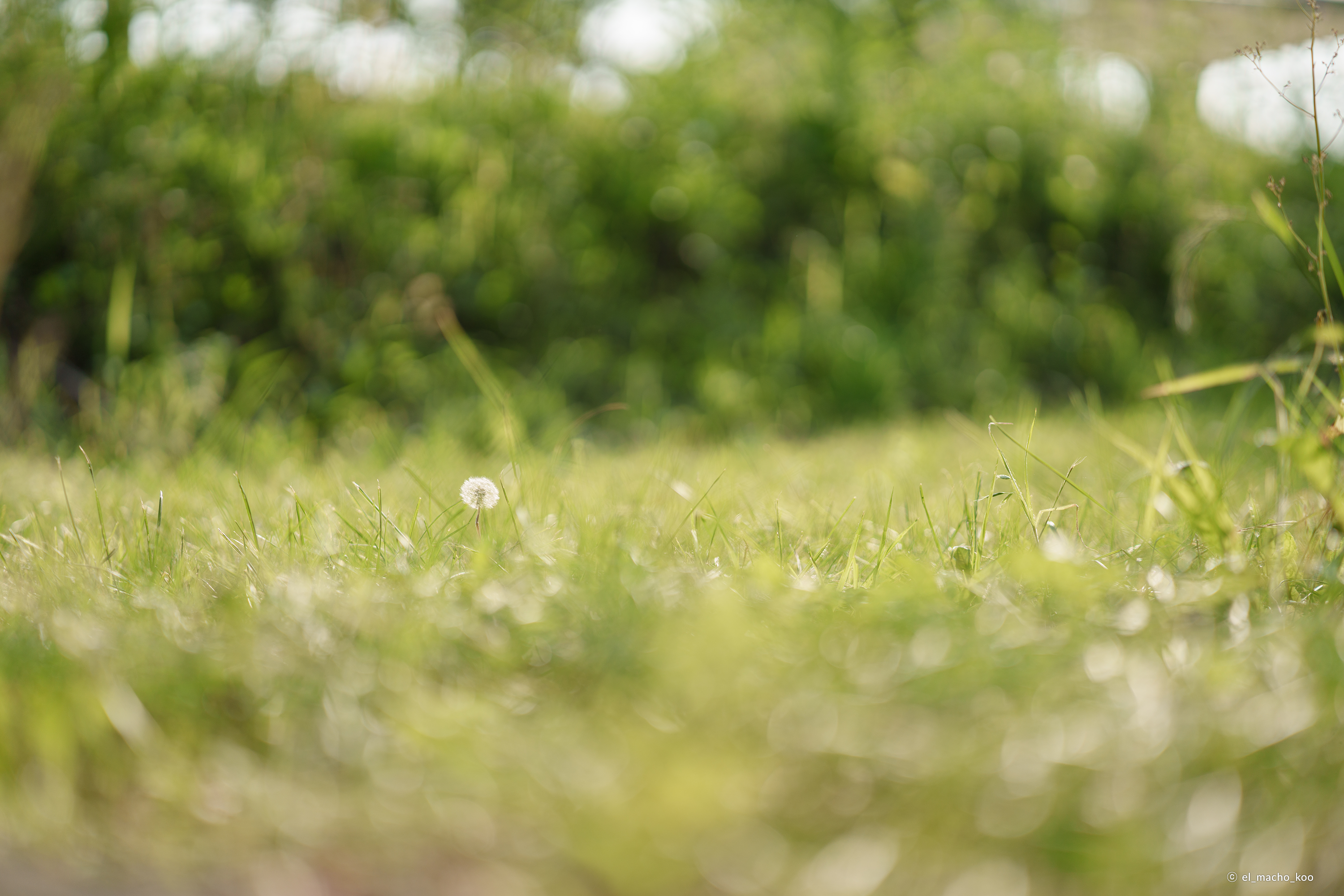 /upload/inspiration/gallery/1791338182.png