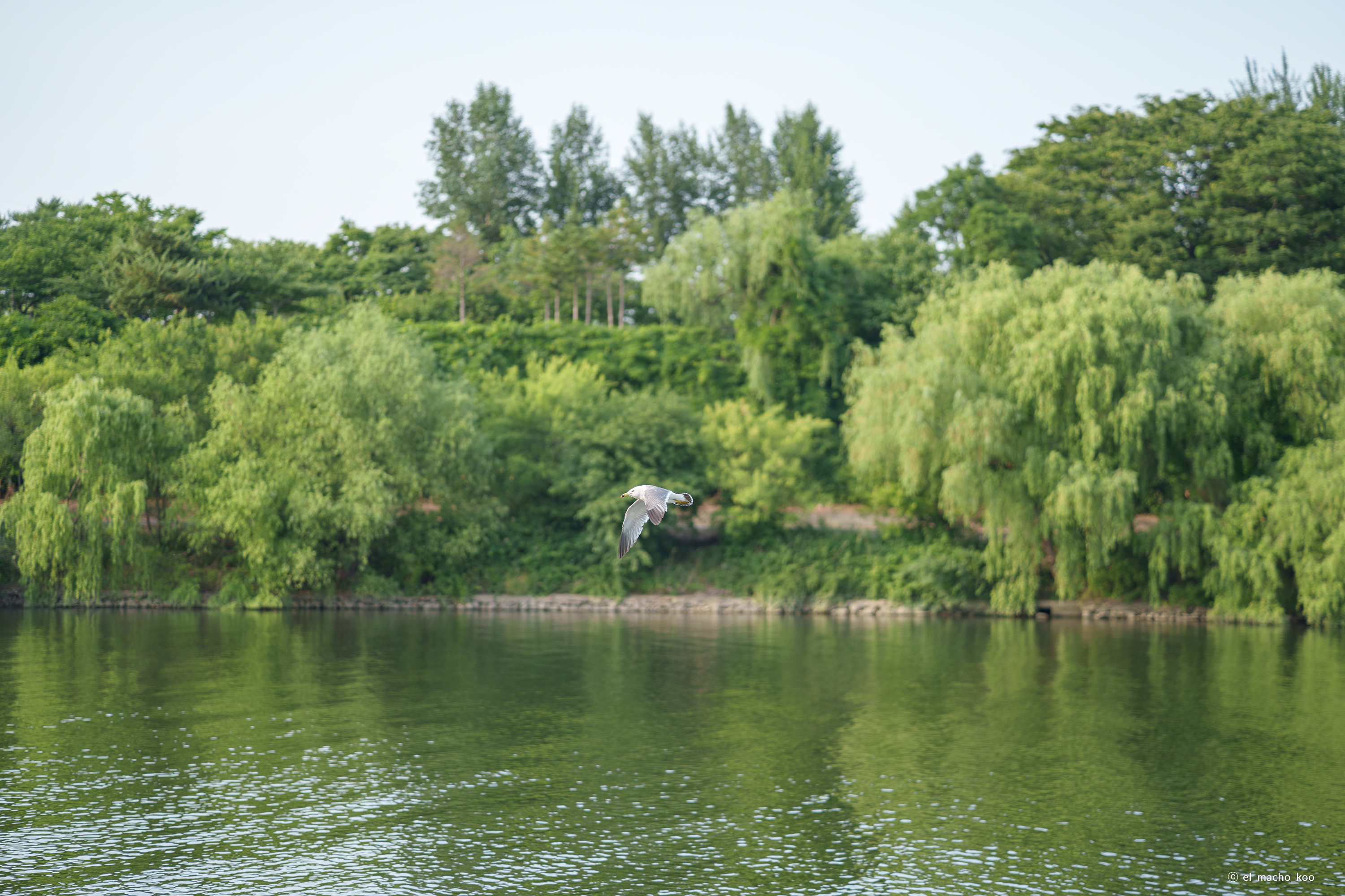 /upload/inspiration/gallery/1791338390.png