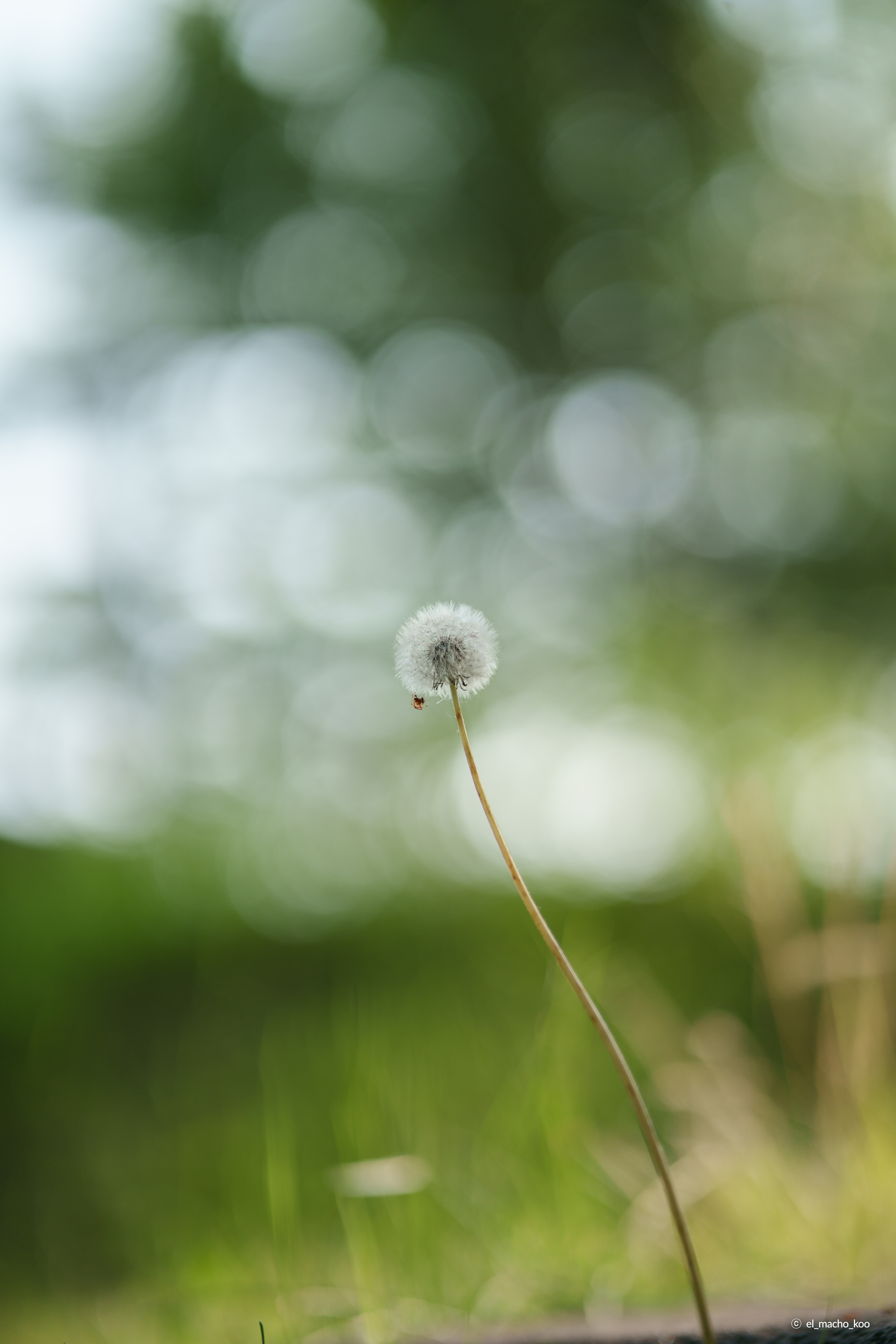 /upload/inspiration/gallery/1791338489.png