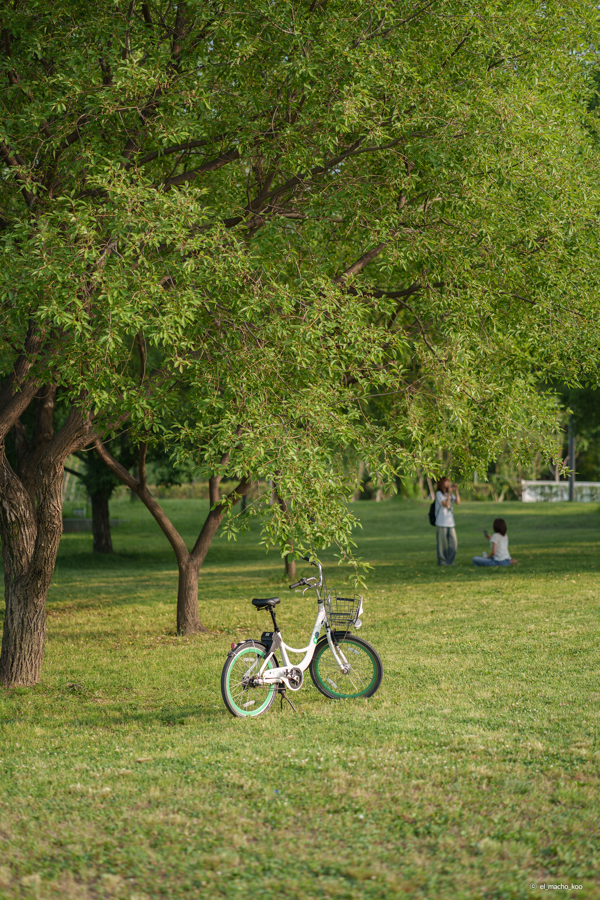 /upload/inspiration/gallery/1791338625.png
