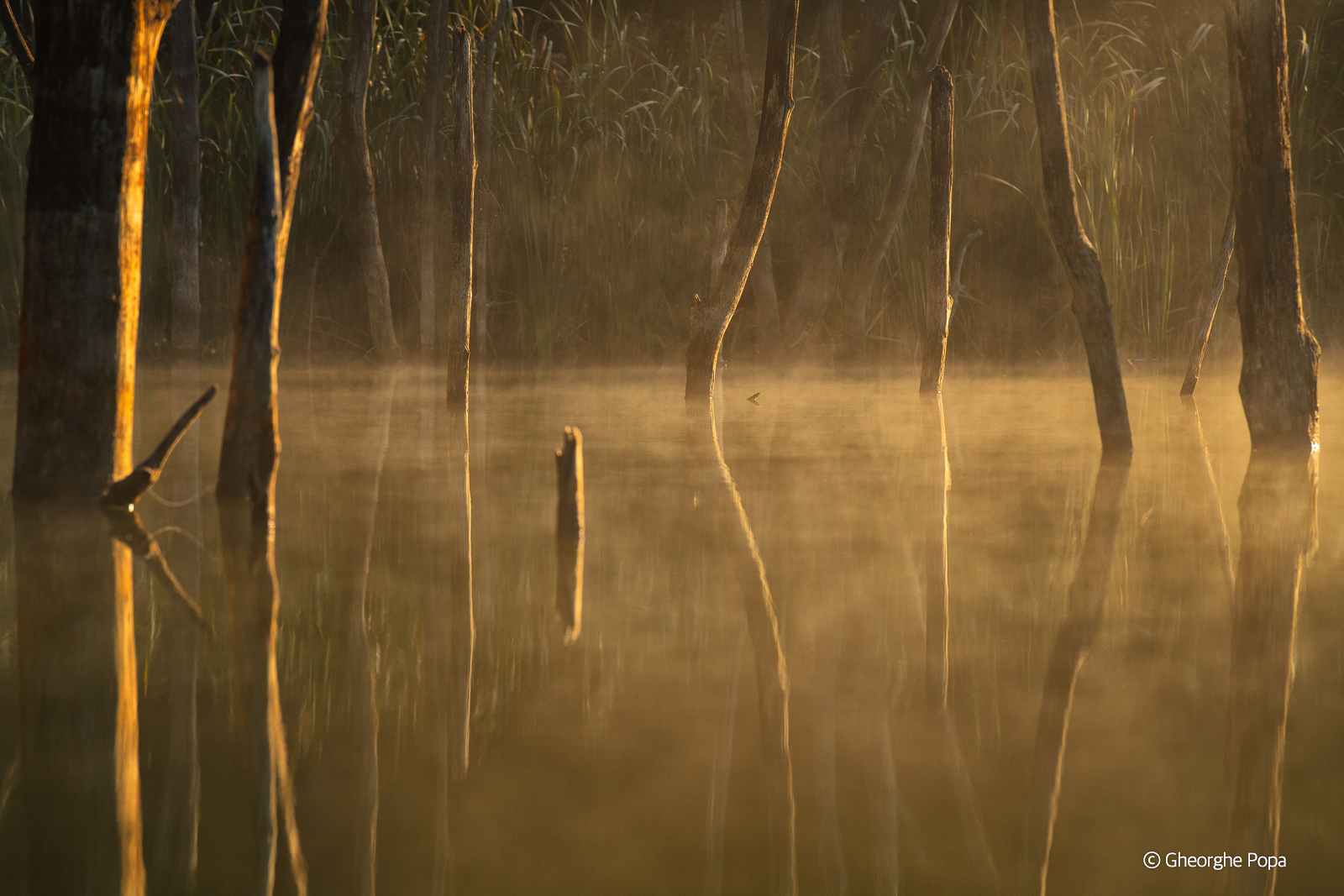 /upload/inspiration/gallery/1804643194.png
