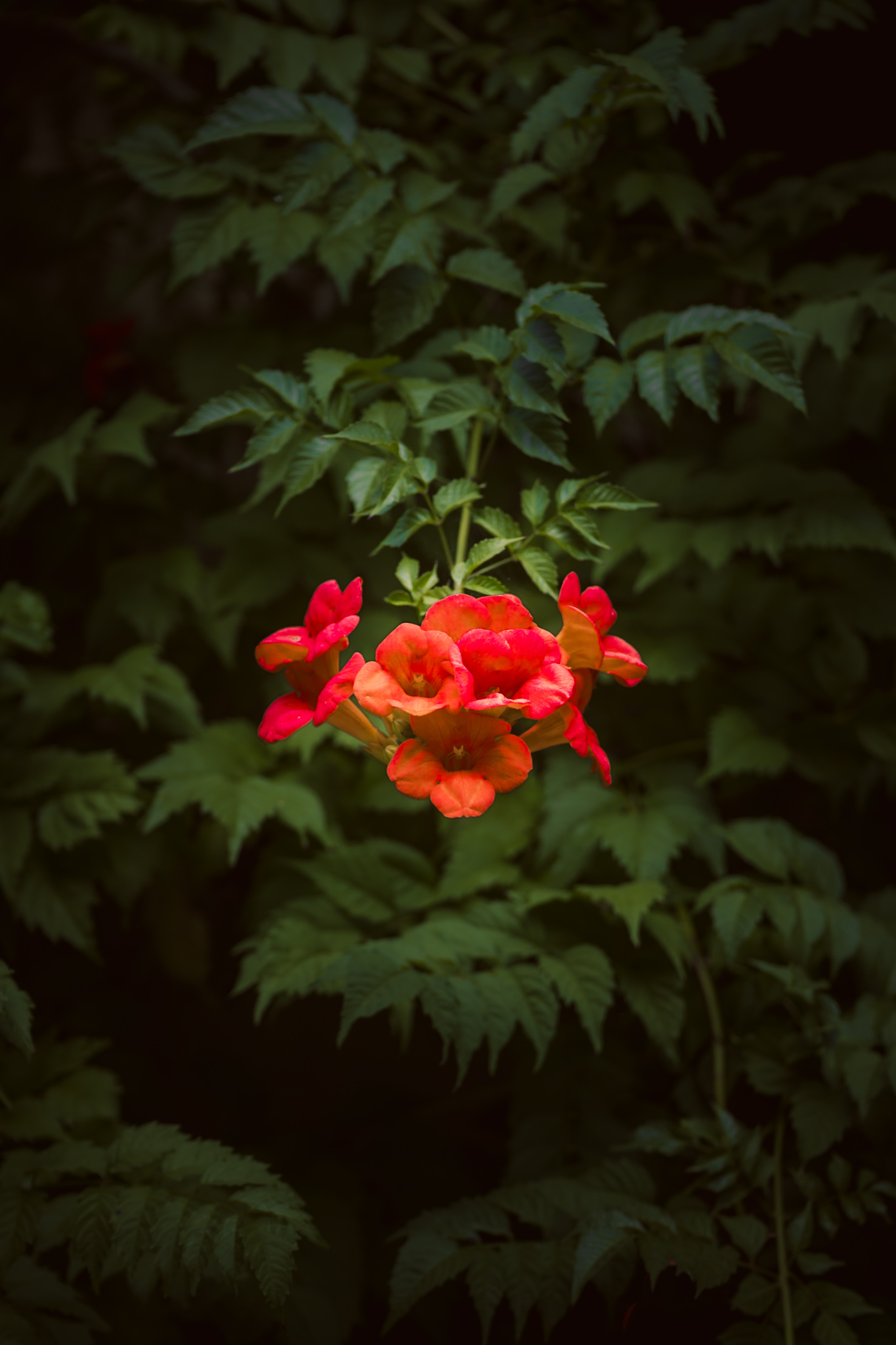 /upload/inspiration/gallery/1833602584.jpg
